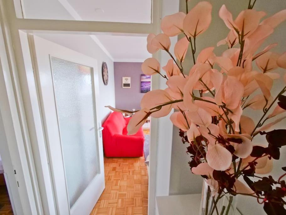 P&C Zadar Apartment Ngoại thất bức ảnh